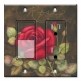 Printed 2 Gang Decora Switch - Outlet Combo with matching Wall Plate - Rose