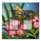 Printed Decora 2 Gang Rocker Style Switch with matching Wall Plate - Yellow Butterfly