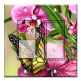 Printed Decora 2 Gang Rocker Style Switch with matching Wall Plate - Monarch and Flowers