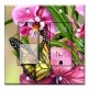 Printed 2 Gang Decora Switch - Outlet Combo with matching Wall Plate - Monarch and Flowers