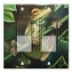 Printed Decora 2 Gang Rocker Style Switch with matching Wall Plate - Yellow Eyed Tree Frog