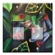 Printed Decora 2 Gang Rocker Style Switch with matching Wall Plate - Red Eyed Tree Frog