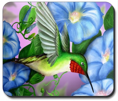 Hummingbird and Flowers - #464