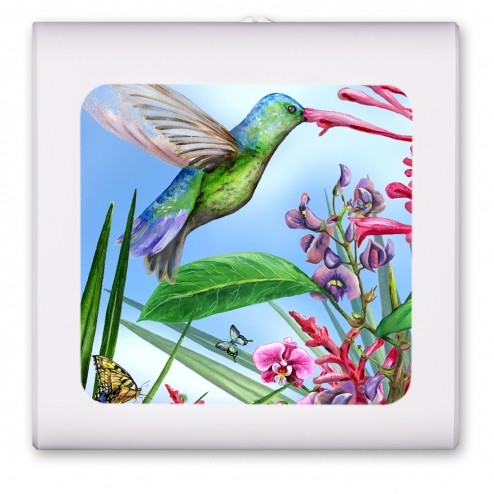 Green Hummingbird - #467