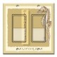 Printed Decora 2 Gang Rocker Style Switch with matching Wall Plate - Colors of Florida