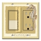 Printed 2 Gang Decora Switch - Outlet Combo with matching Wall Plate - Colors of Florida