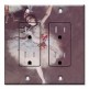 Printed 2 Gang Decora Duplex Receptacle Outlet with matching Wall Plate - Degas: Dancer