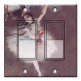Printed Decora 2 Gang Rocker Style Switch with matching Wall Plate - Degas: Dancer