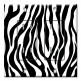 Printed 2 Gang Decora Duplex Receptacle Outlet with matching Wall Plate - Zebra Print