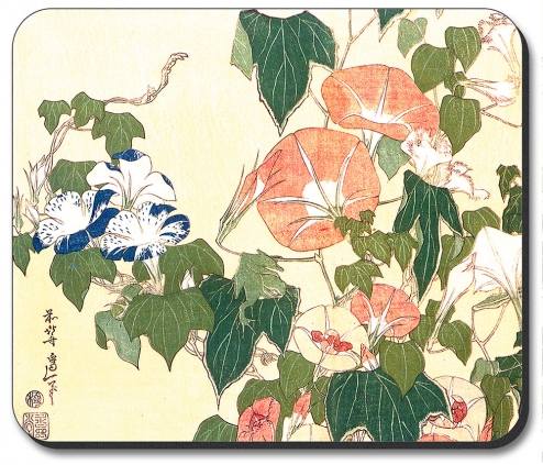 Hokusai: Convolvulus - #547