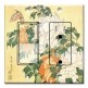 Printed 2 Gang Decora Switch - Outlet Combo with matching Wall Plate - Hokusai: Peonies and Butterfly