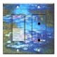 Printed 2 Gang Decora Switch - Outlet Combo with matching Wall Plate - Monet: Irises II