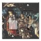 Printed 2 Gang Decora Switch - Outlet Combo with matching Wall Plate - Botticelli: Primavera