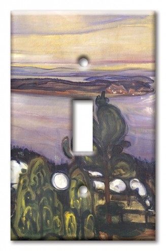 Art Plates - Decorative OVERSIZED Switch Plates & Outlet Covers - Munch: Train Smoke