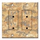 Printed 2 Gang Decora Duplex Receptacle Outlet with matching Wall Plate - Dinosaur Fossils - Image by Dan Morris