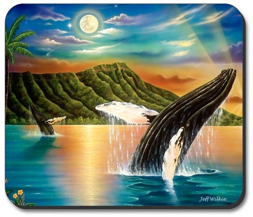 Humpback Whales - #660