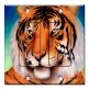 Printed 2 Gang Decora Duplex Receptacle Outlet with matching Wall Plate - Tiger
