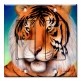 Printed 2 Gang Decora Switch - Outlet Combo with matching Wall Plate - Tiger