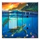 Printed 2 Gang Decora Switch - Outlet Combo with matching Wall Plate - Sea Turtles II