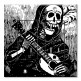 Printed 2 Gang Decora Duplex Receptacle Outlet with matching Wall Plate - Dia de los Muertos II
