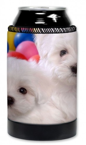 Maltese Puppies - #7618