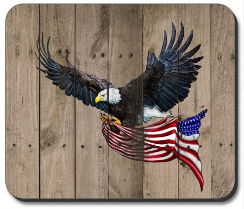 Eagle with Flag - #8111