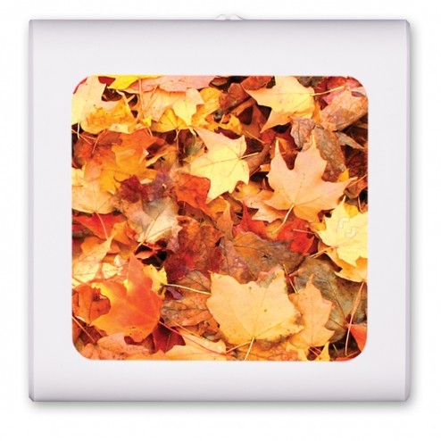 Fall Leaves 2 - #8132