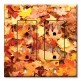 Printed 2 Gang Decora Duplex Receptacle Outlet with matching Wall Plate - Fall Leaves
