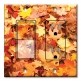 Printed 2 Gang Decora Switch - Outlet Combo with matching Wall Plate - Fall Leaves