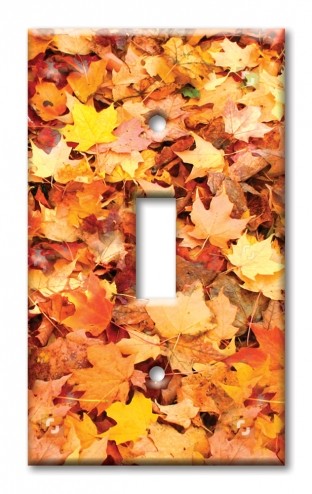 Art Plates - Decorative OVERSIZED Wall Plate - Outlet Cover - Fall Leaves