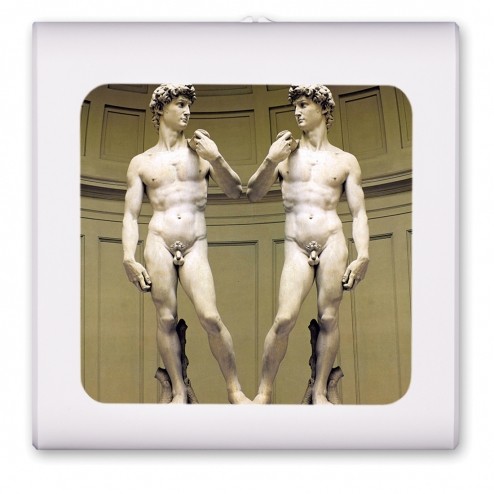Michelangelo: David's - #82