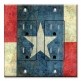 Printed 2 Gang Decora Duplex Receptacle Outlet with matching Wall Plate - Texas Flag