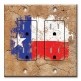 Printed 2 Gang Decora Duplex Receptacle Outlet with matching Wall Plate - Vintage Texas Flag