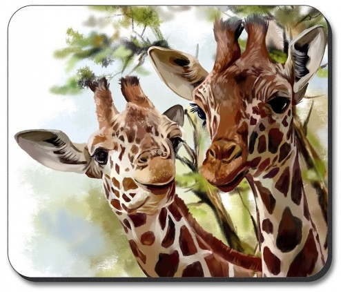 Giraffes - #8500