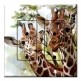 Printed 2 Gang Decora Duplex Receptacle Outlet with matching Wall Plate - Giraffes