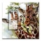 Printed 2 Gang Decora Switch - Outlet Combo with matching Wall Plate - Giraffes