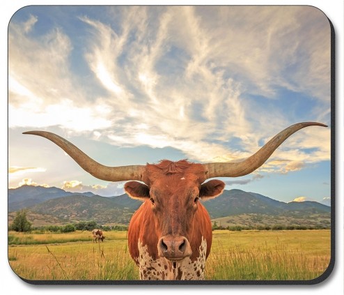 Longhorn - #8501