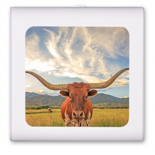 Longhorn - #8501