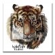 Printed 2 Gang Decora Switch - Outlet Combo with matching Wall Plate - Wild Life Tiger