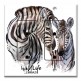 Printed 2 Gang Decora Duplex Receptacle Outlet with matching Wall Plate - Wild Life Zebras