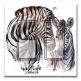 Printed Decora 2 Gang Rocker Style Switch with matching Wall Plate - Wild Life Zebras
