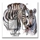 Printed 2 Gang Decora Switch - Outlet Combo with matching Wall Plate - Wild Life Zebras