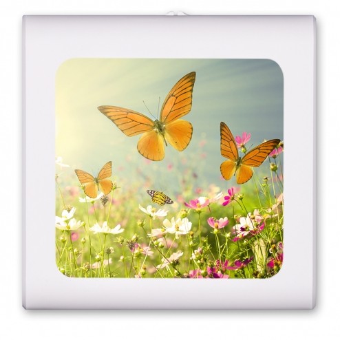 Butterflies - #8517