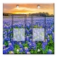 Printed Decora 2 Gang Rocker Style Switch with matching Wall Plate - Blue Bonnets