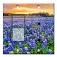 Printed 2 Gang Decora Switch - Outlet Combo with matching Wall Plate - Blue Bonnets