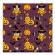 Printed 2 Gang Decora Duplex Receptacle Outlet with matching Wall Plate - Halloween Owls