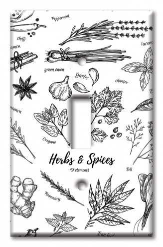 Art Plates - Decorative OVERSIZED Wall Plate - Outlet Cover - Herbs and Spices 2
