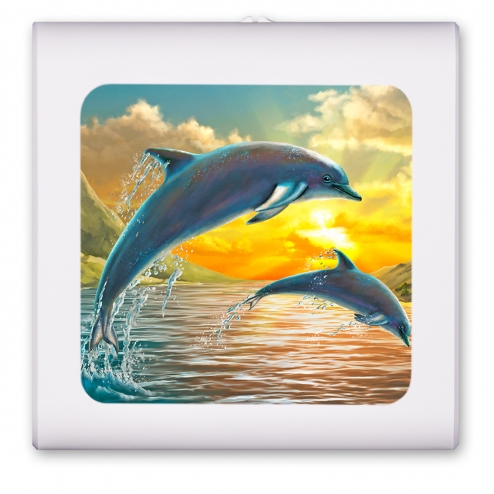 Dolphins At Sunset - #8596