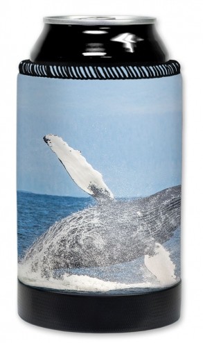 Humpback Whale - #8600