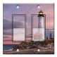 Printed Decora 2 Gang Rocker Style Switch with matching Wall Plate - Lighthouse Of Michigan
